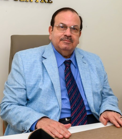 Prof. Dr. Mohamed Elghanam