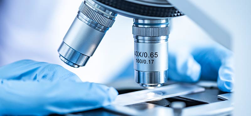 Laboratory Services